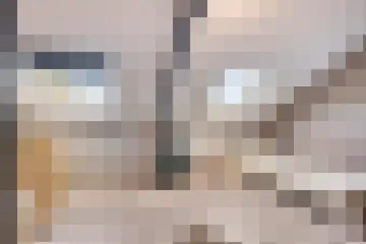 Tichelaarsdonk 302 Apeldoorn thumbnail 27