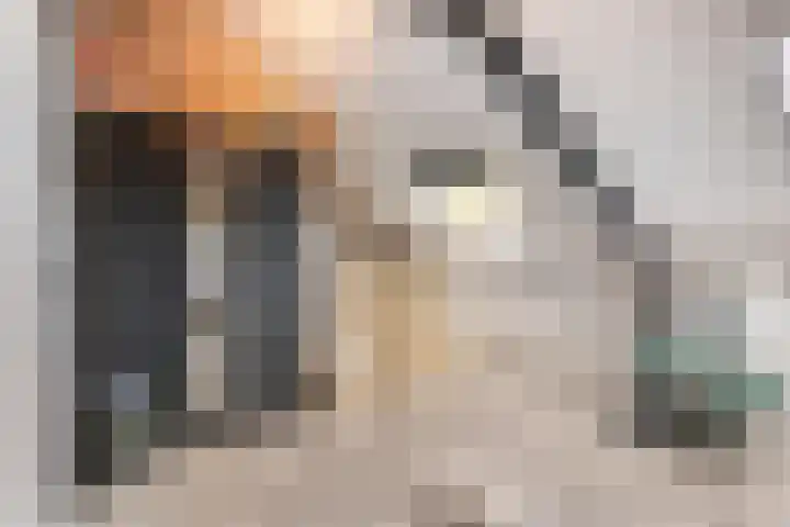 Tichelaarsdonk 302 Apeldoorn thumbnail 28