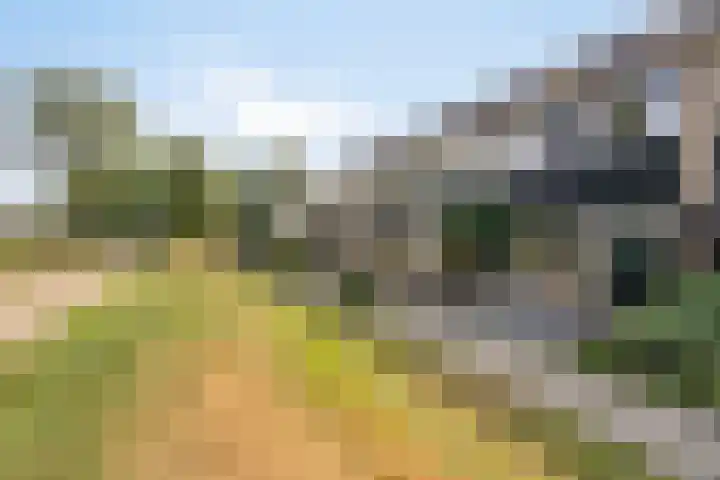 Tichelaarsdonk 302 Apeldoorn thumbnail 29