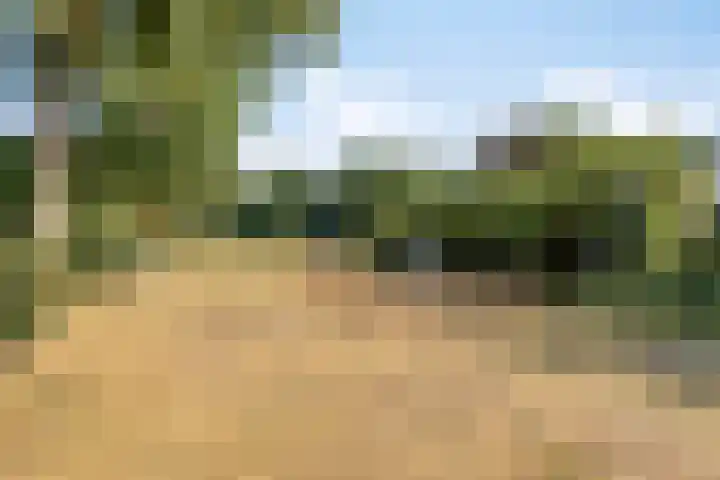 Tichelaarsdonk 302 Apeldoorn thumbnail 30