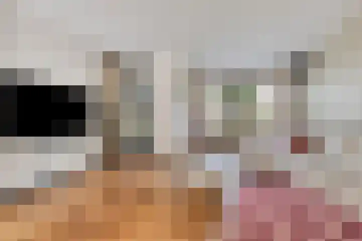 Tichelaarsdonk 302 Apeldoorn thumbnail 7