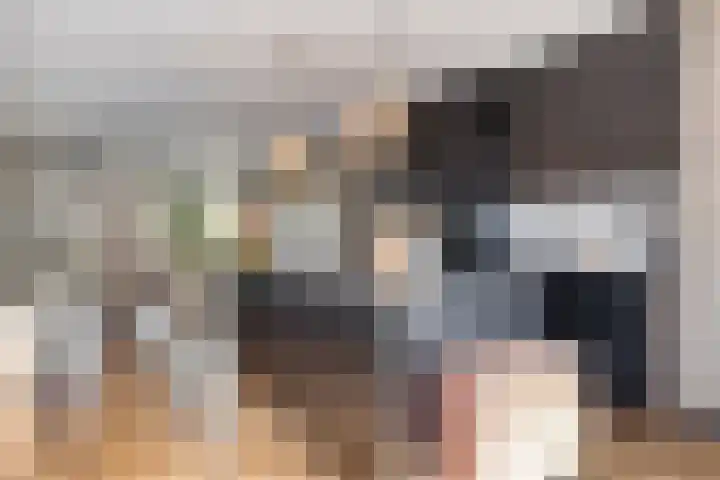 Tichelaarsdonk 302 Apeldoorn thumbnail 8