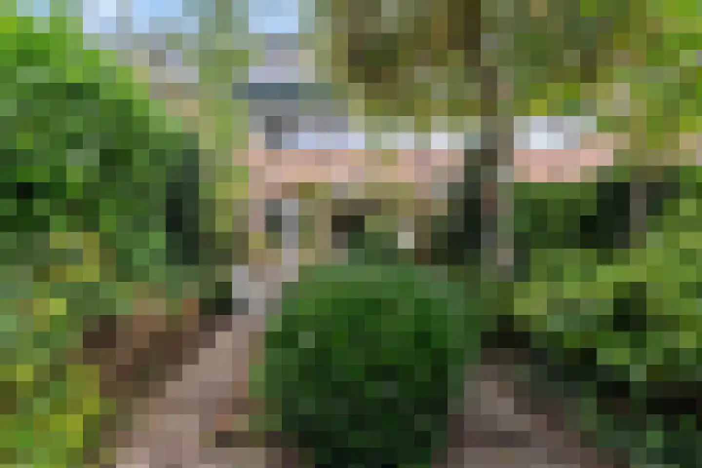 Tichelberg 26 Zoetermeer thumbnail 26
