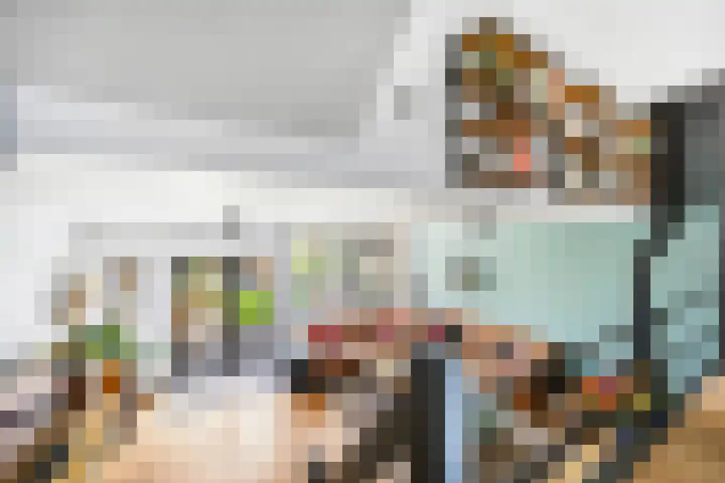 Tichelberg 38 Zoetermeer thumbnail 15