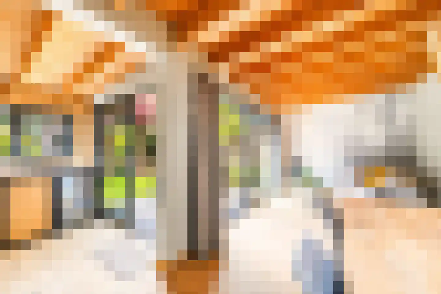 Tichelberg 38 Zoetermeer thumbnail 24