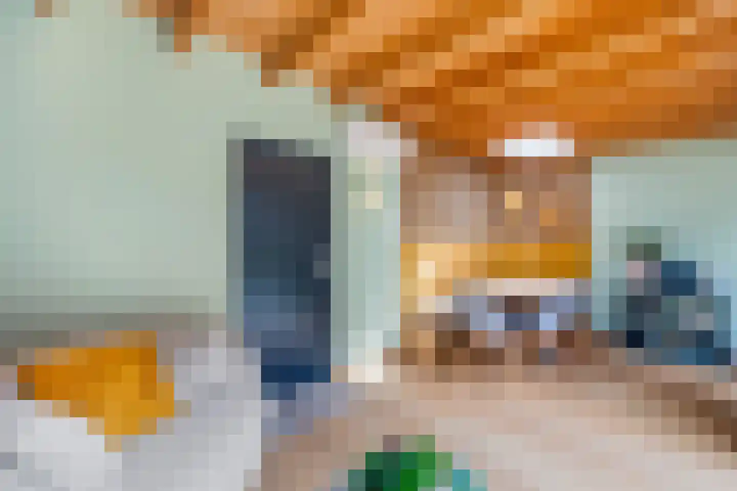 Tichelberg 38 Zoetermeer thumbnail 26