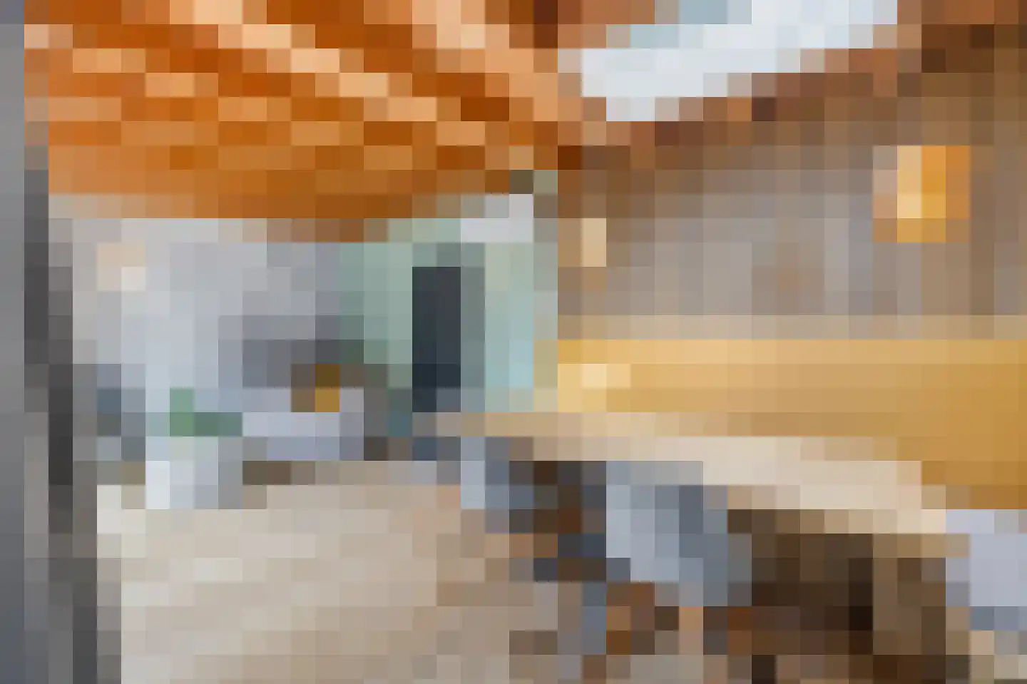 Tichelberg 38 Zoetermeer thumbnail 27