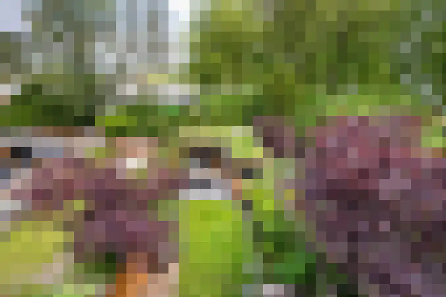 Tichelberg 38 Zoetermeer thumbnail 46