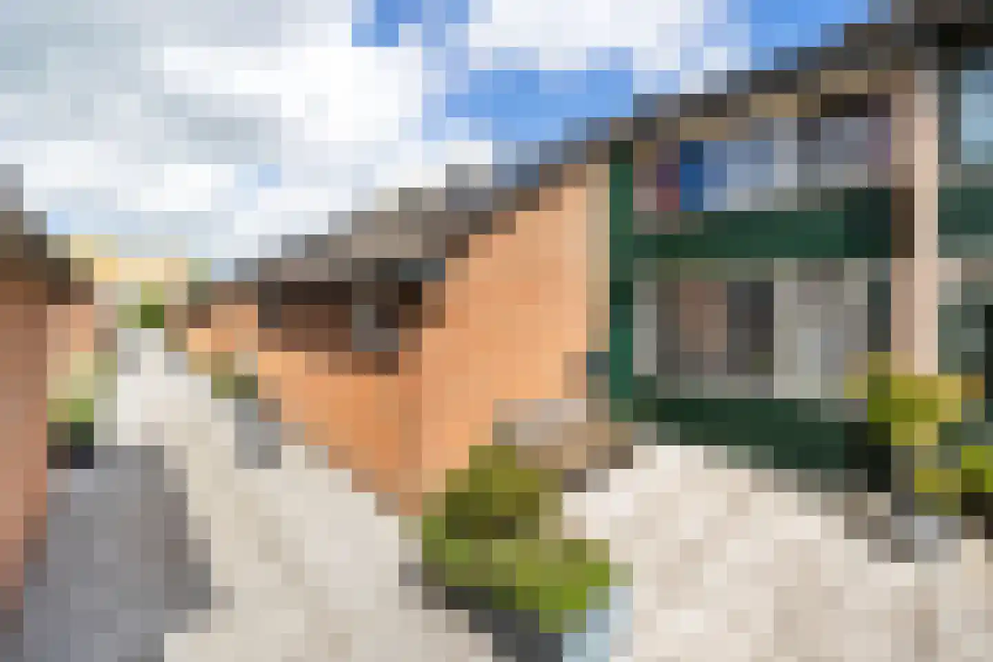 Tichelberg 38 Zoetermeer thumbnail 6