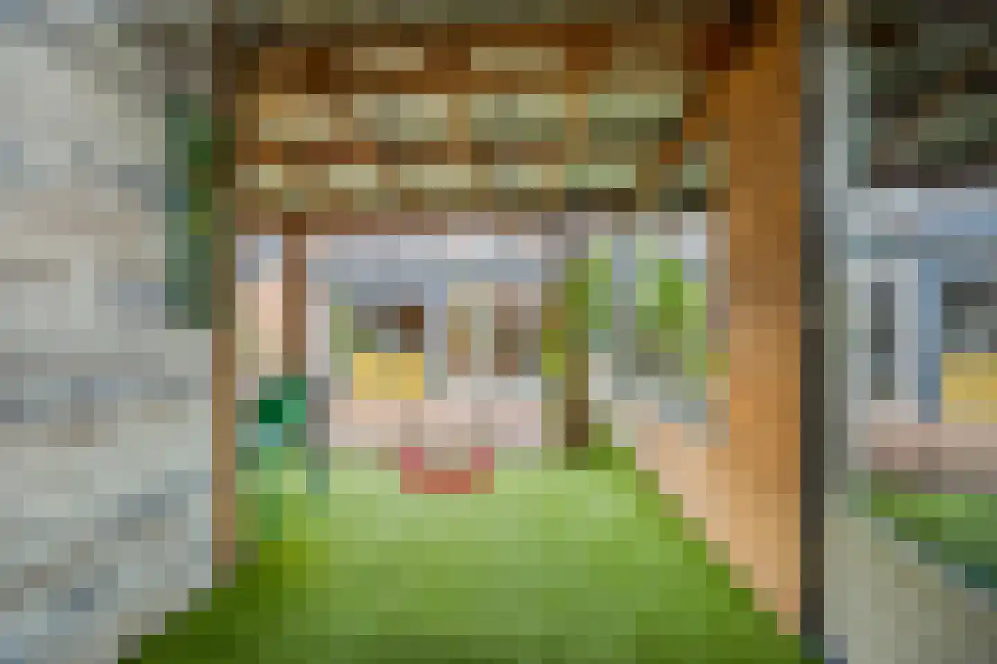 Tichelberg 9 Zoetermeer thumbnail 18