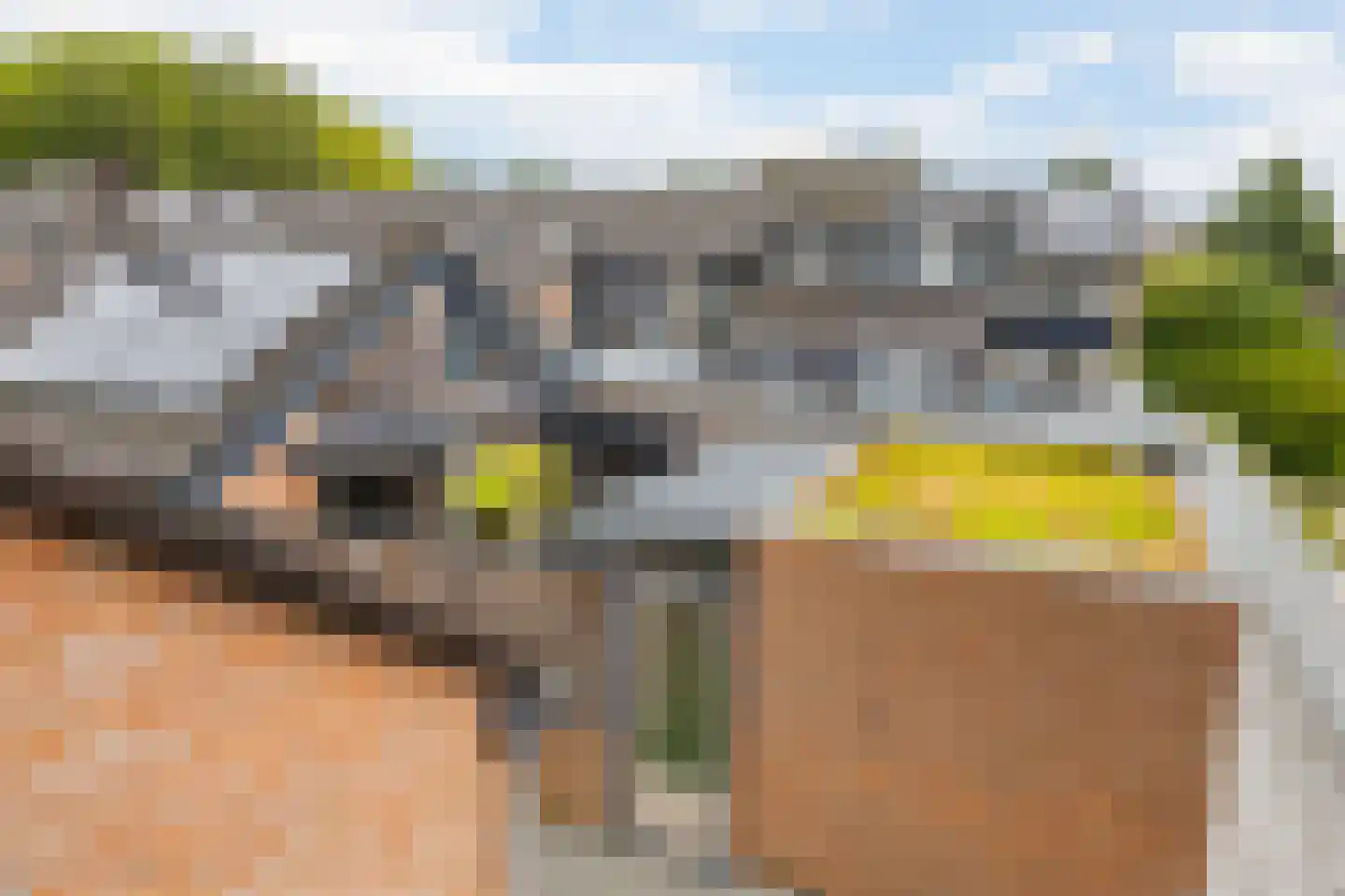 Tichelberg 9 Zoetermeer thumbnail 23