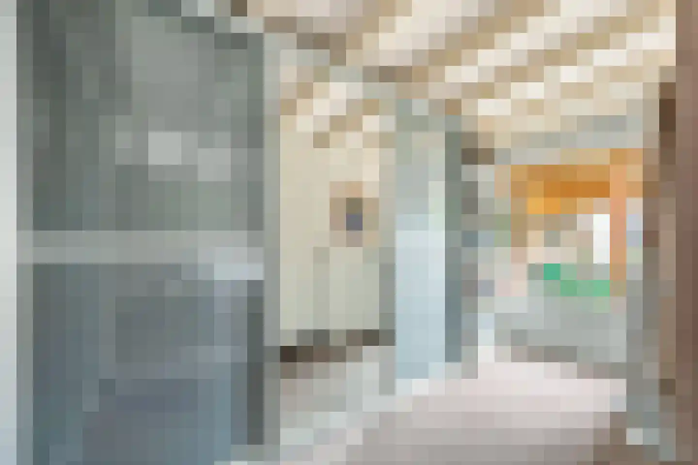 Tichelberg 9 Zoetermeer thumbnail 30