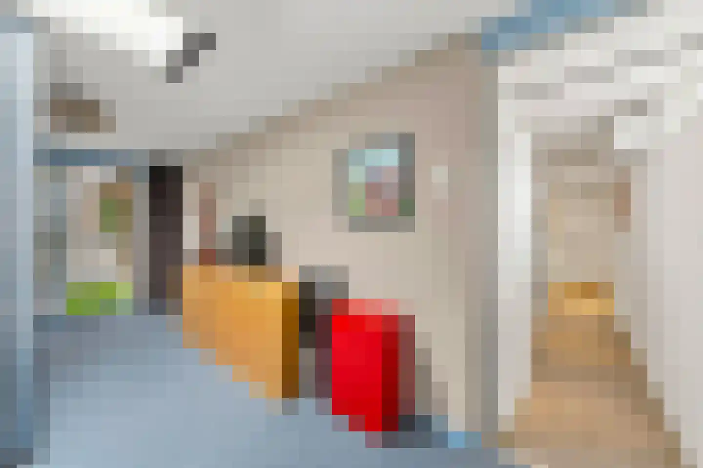 Tichelberg 9 Zoetermeer thumbnail 33