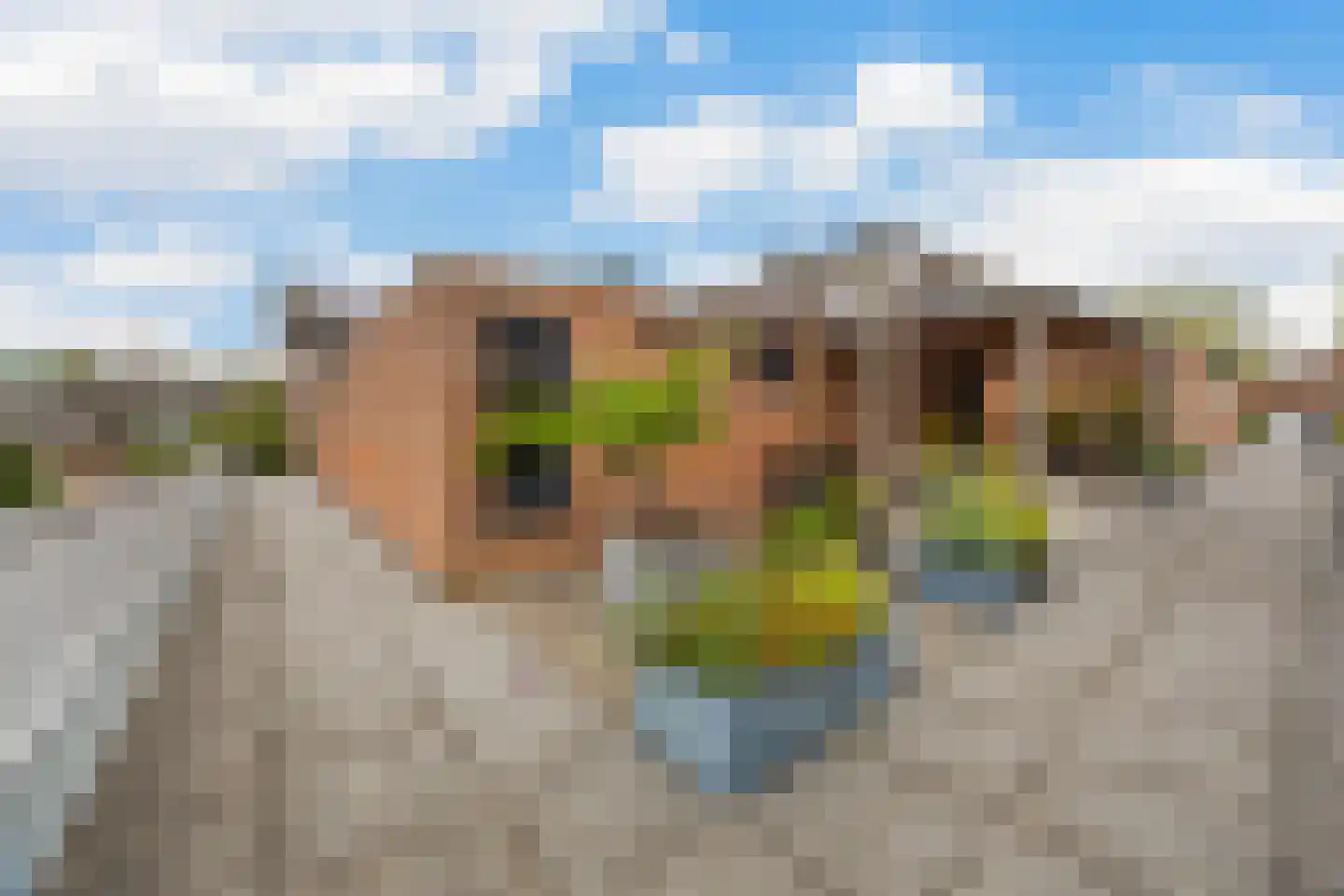 Tichelberg 9 Zoetermeer thumbnail 38