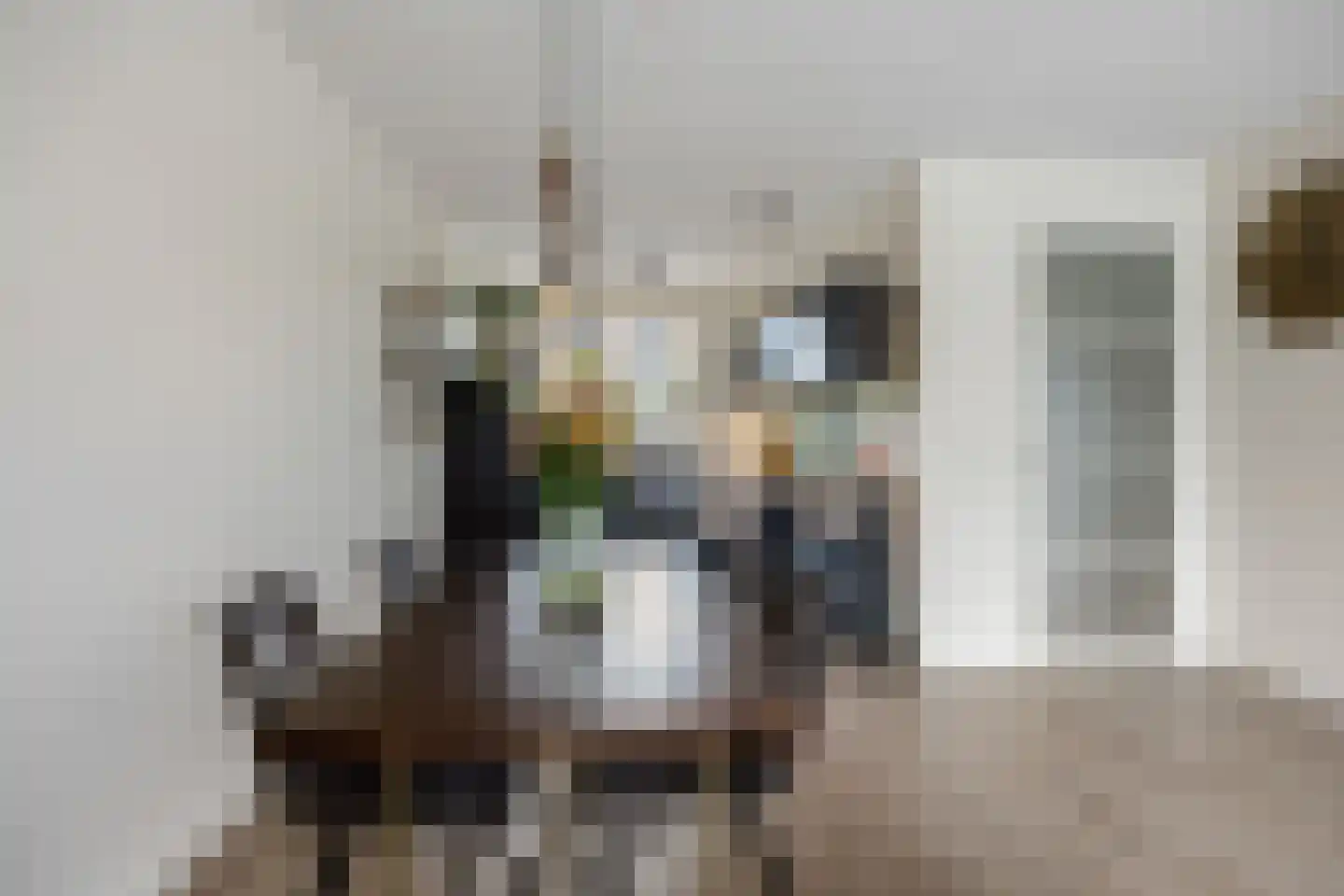 Ticheldreef 101 Druten thumbnail 10