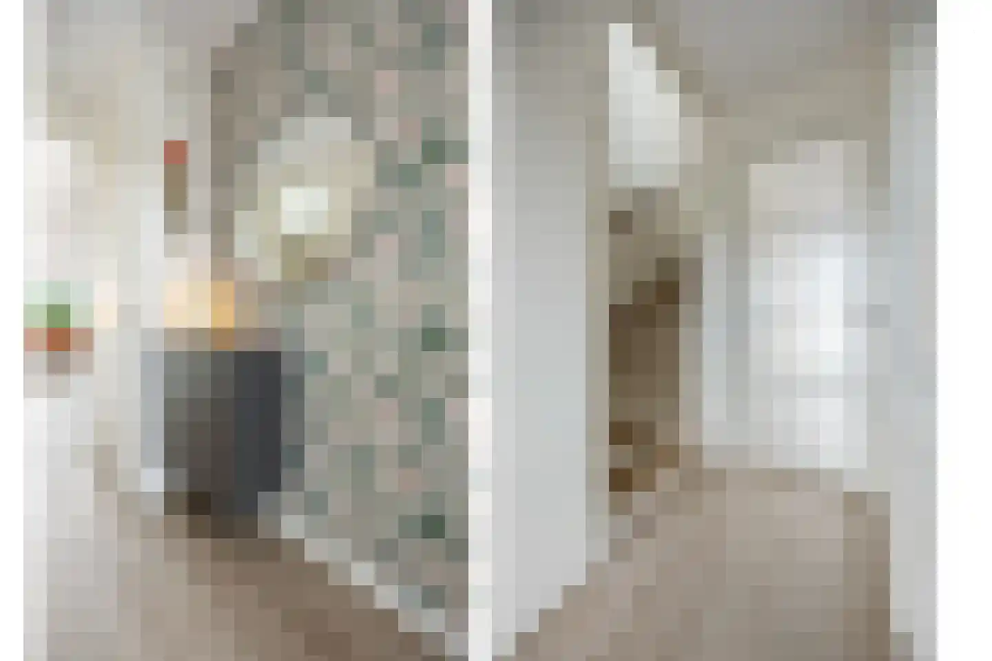 Ticheldreef 101 Druten thumbnail 18