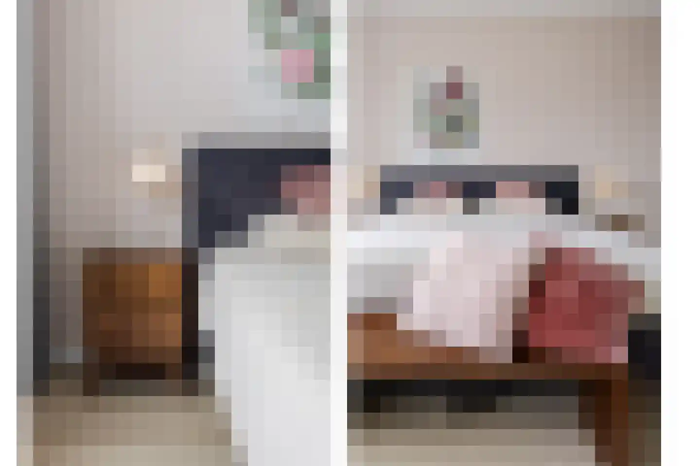 Ticheldreef 101 Druten thumbnail 21