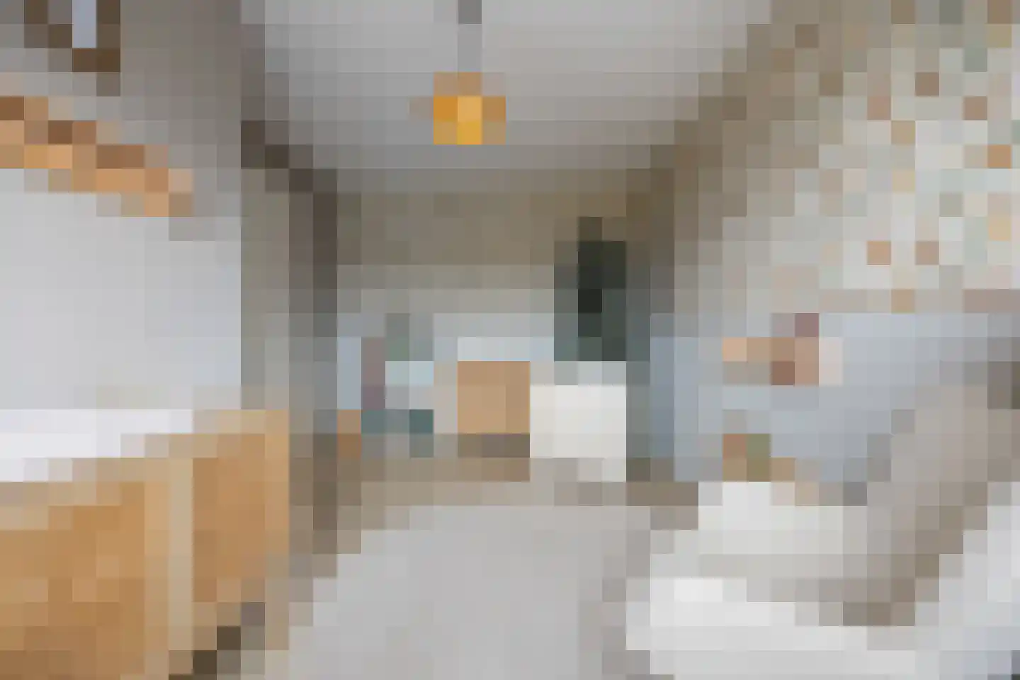 Ticheldreef 101 Druten thumbnail 25