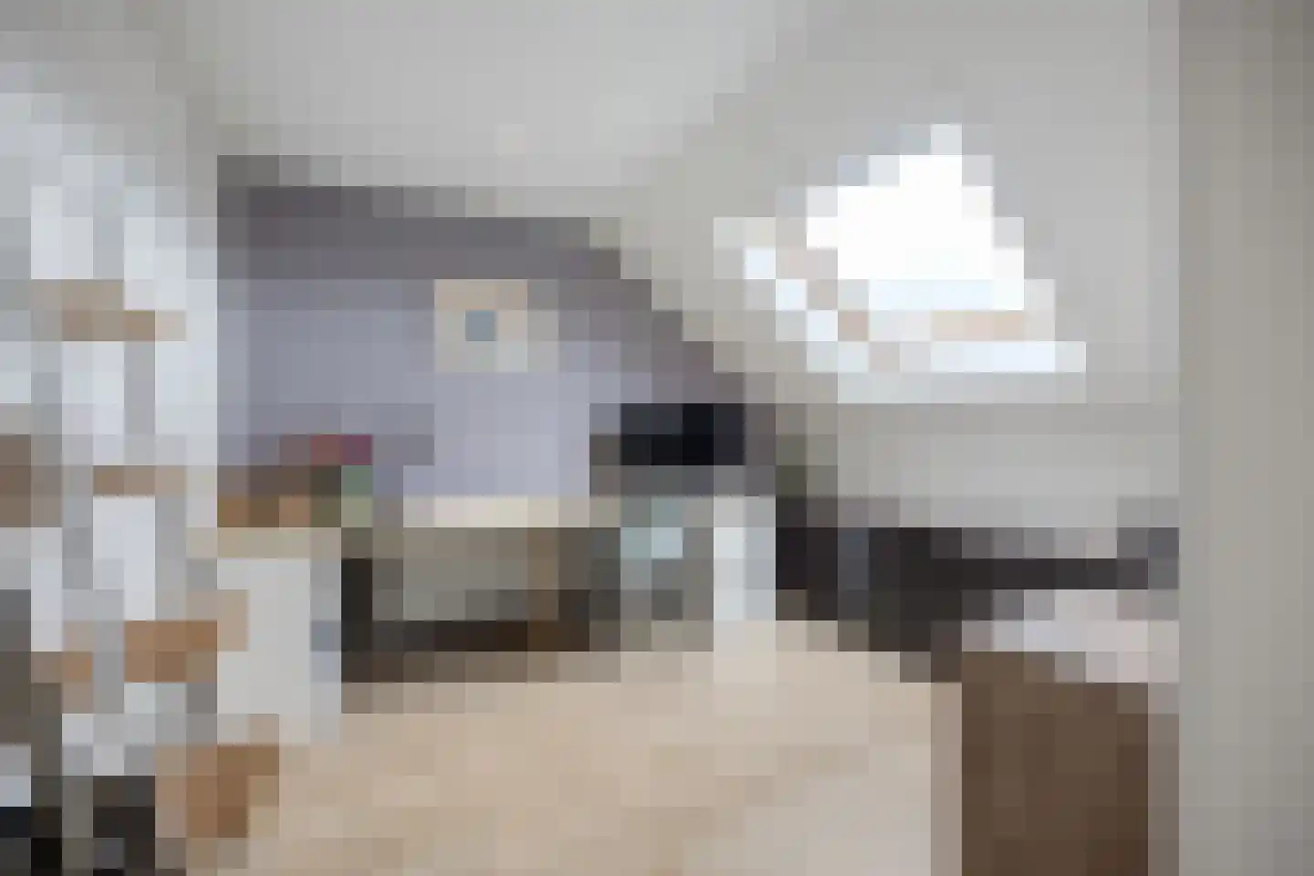 Ticheldreef 101 Druten thumbnail 35