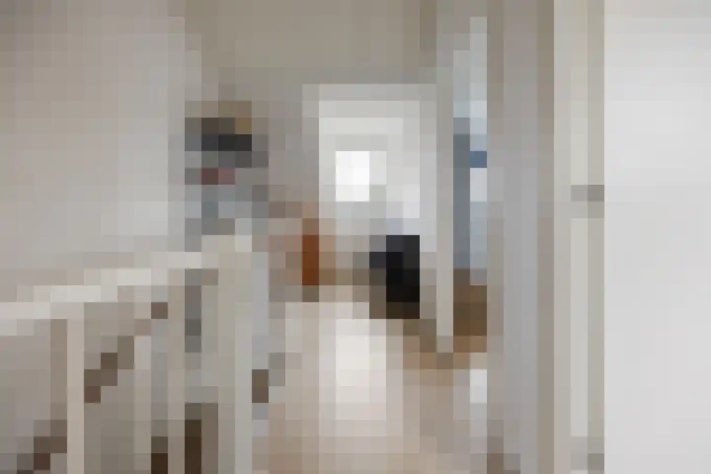 Ticheldreef 101 Druten thumbnail 37