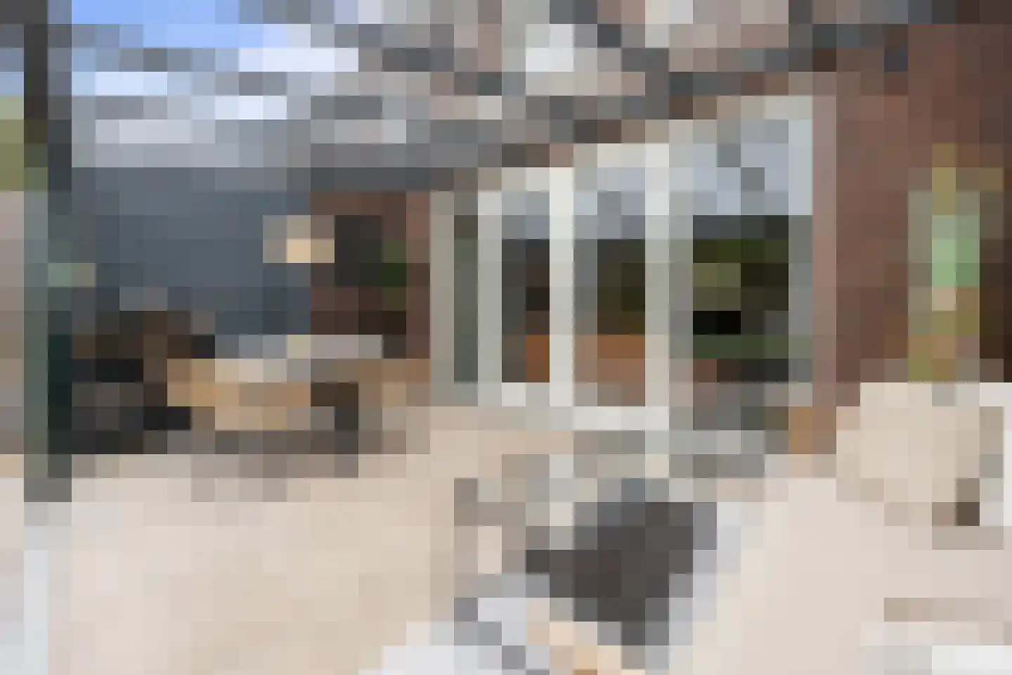 Ticheldreef 101 Druten thumbnail 41