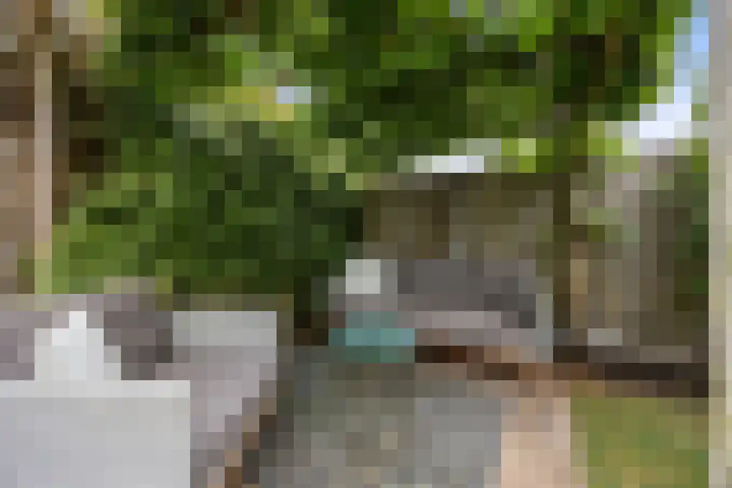 Ticheldreef 101 Druten thumbnail 45