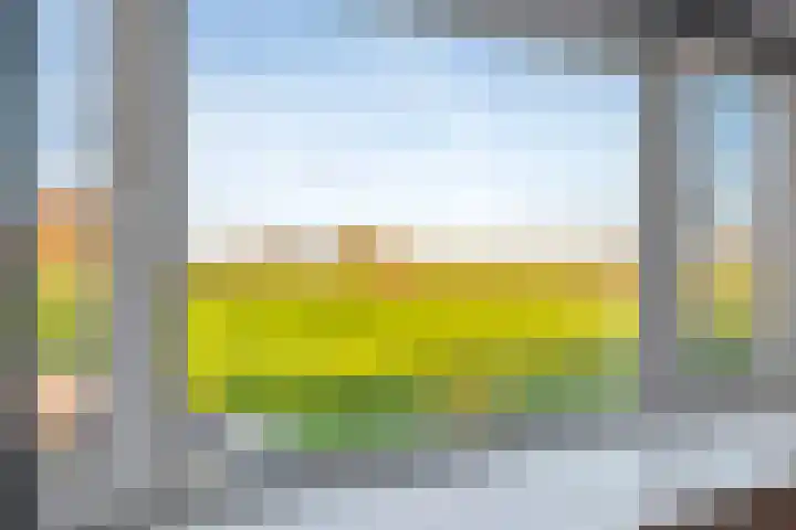 Ticheldreef 103 Druten thumbnail 23