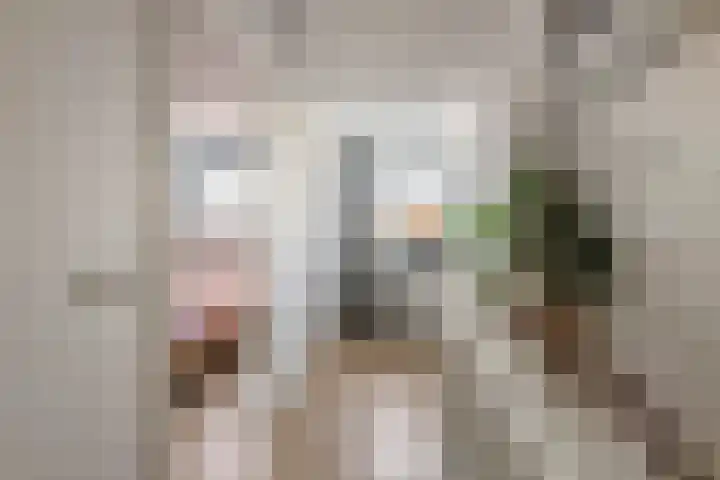 Ticheldreef 103 Druten thumbnail 25