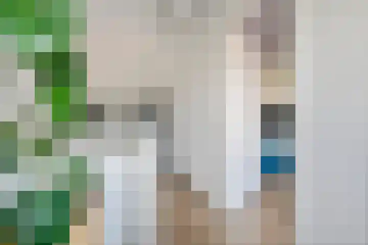 Ticheldreef 103 Druten thumbnail 26