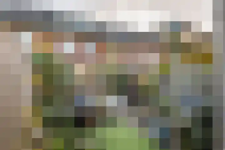 Ticheldreef 103 Druten foto 3