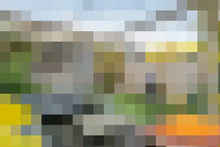 Ticheldreef 103 Druten thumbnail 30