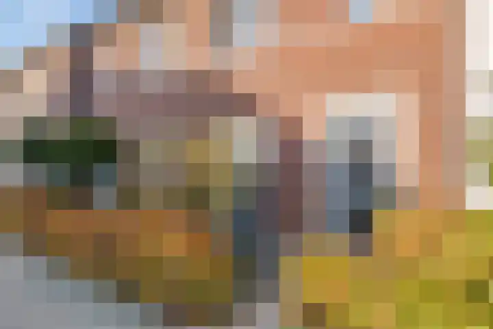 Ticheldreef 103 Druten thumbnail 31