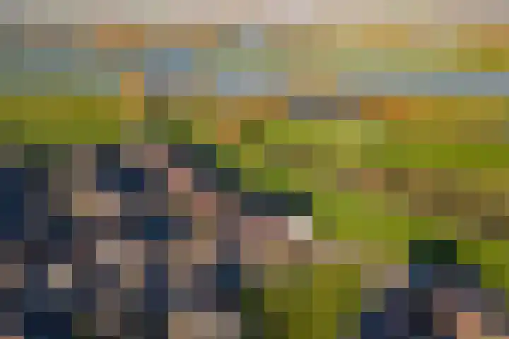 Ticheldreef 103 Druten thumbnail 34