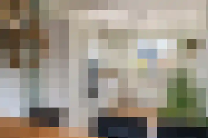 Ticheldreef 103 Druten thumbnail 6