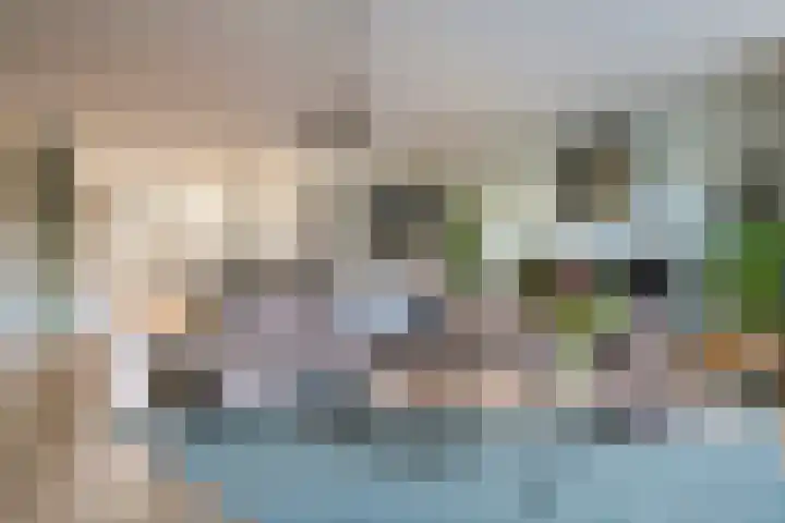 Ticheldreef 103 Druten thumbnail 8
