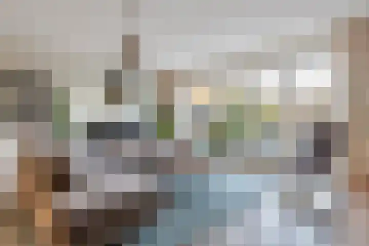 Ticheldreef 103 Druten thumbnail 9