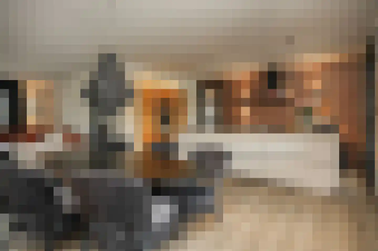 Ticheldreef 104 Druten thumbnail 12