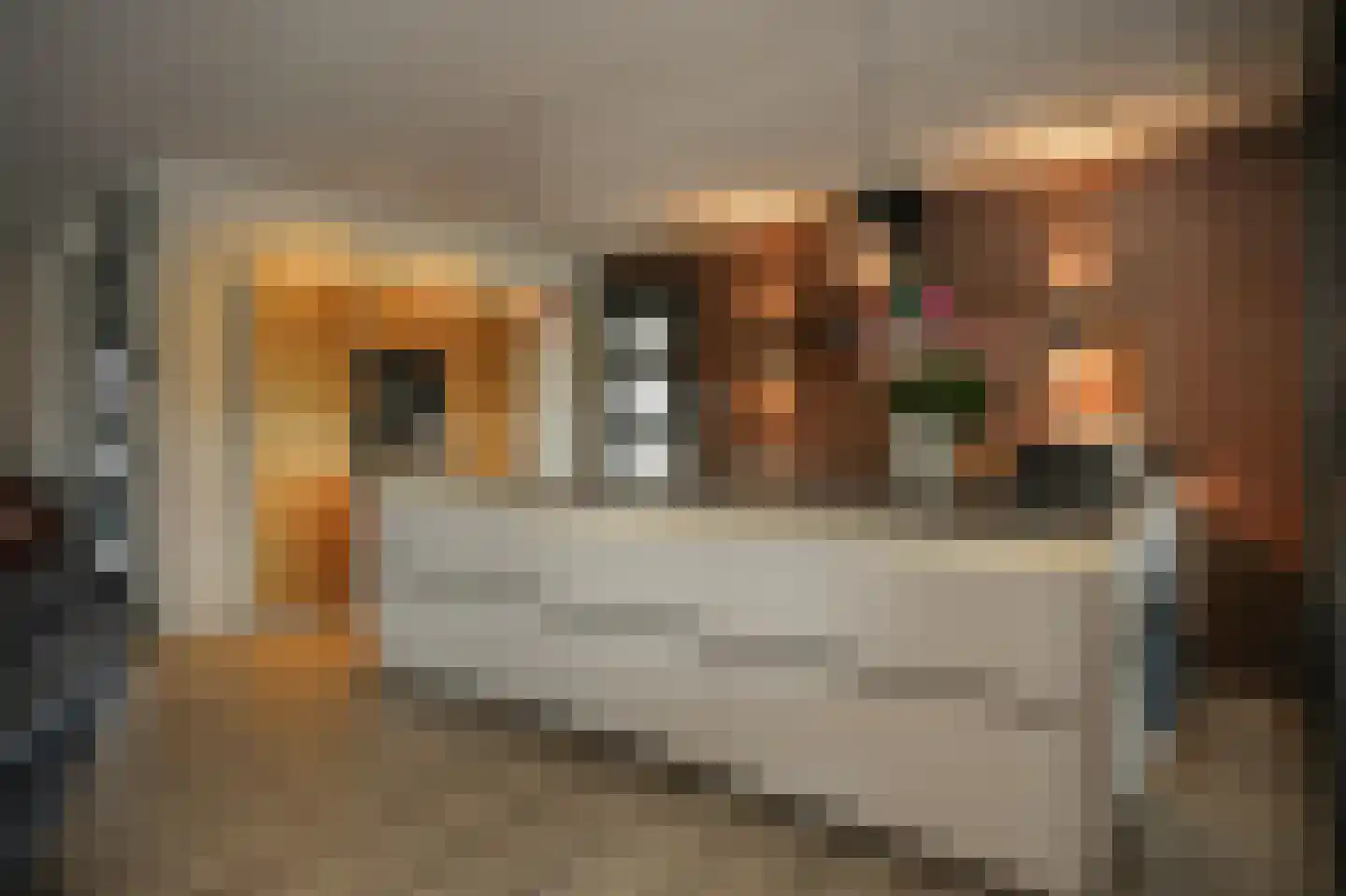 Ticheldreef 104 Druten thumbnail 13