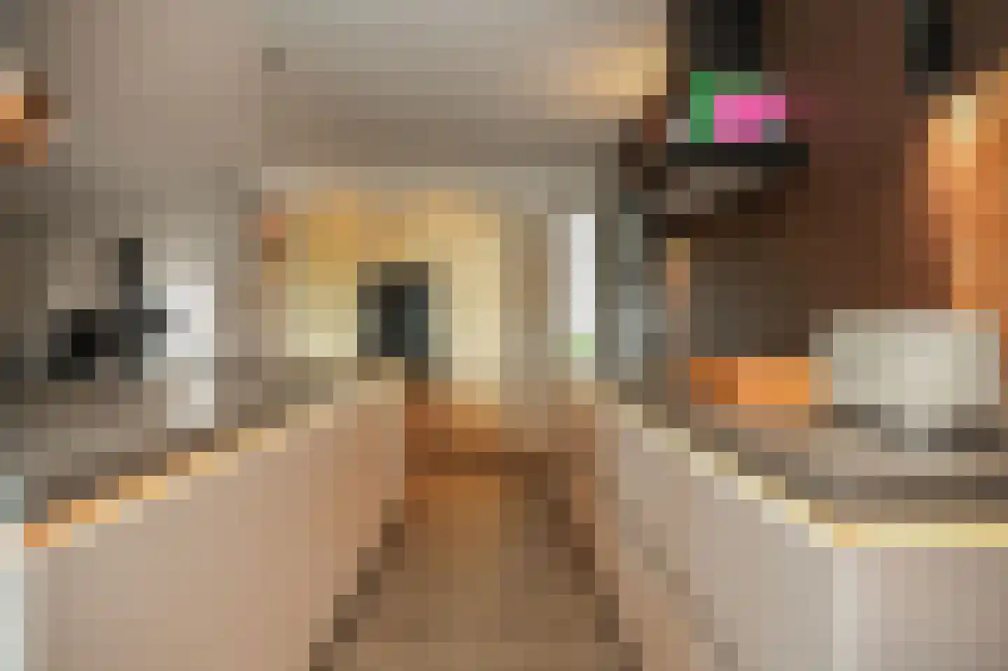 Ticheldreef 104 Druten thumbnail 14