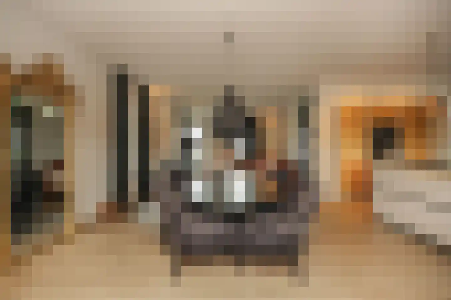 Ticheldreef 104 Druten thumbnail 16