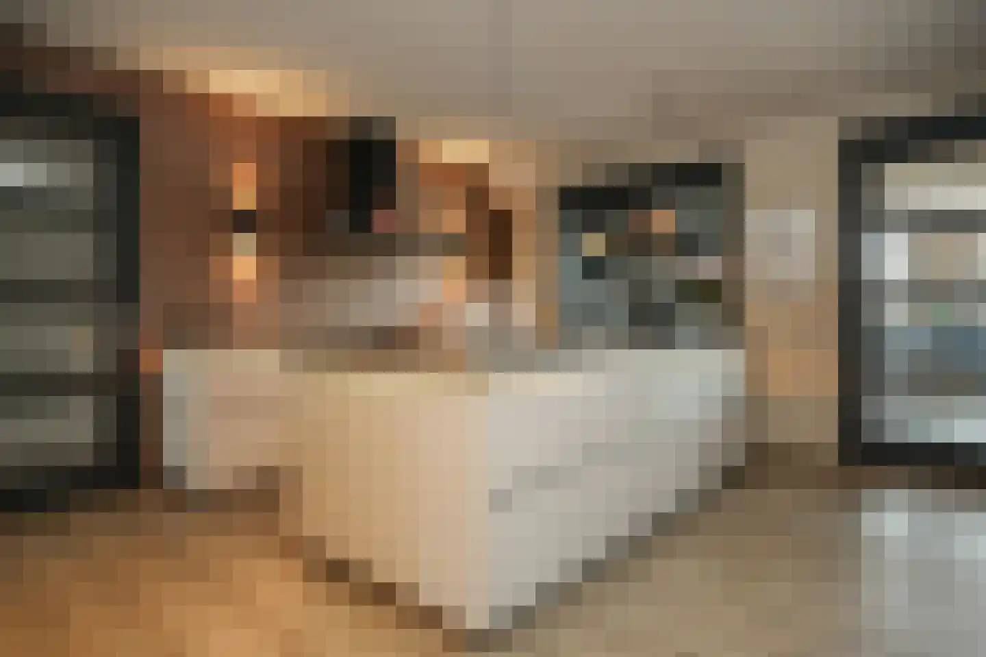 Ticheldreef 104 Druten thumbnail 22