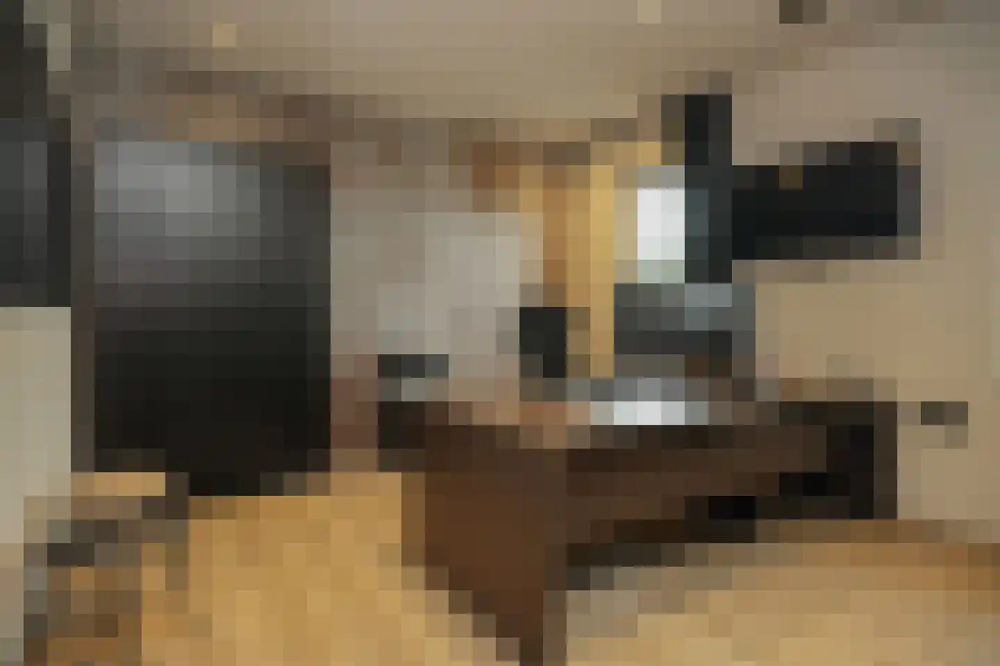 Ticheldreef 104 Druten thumbnail 24