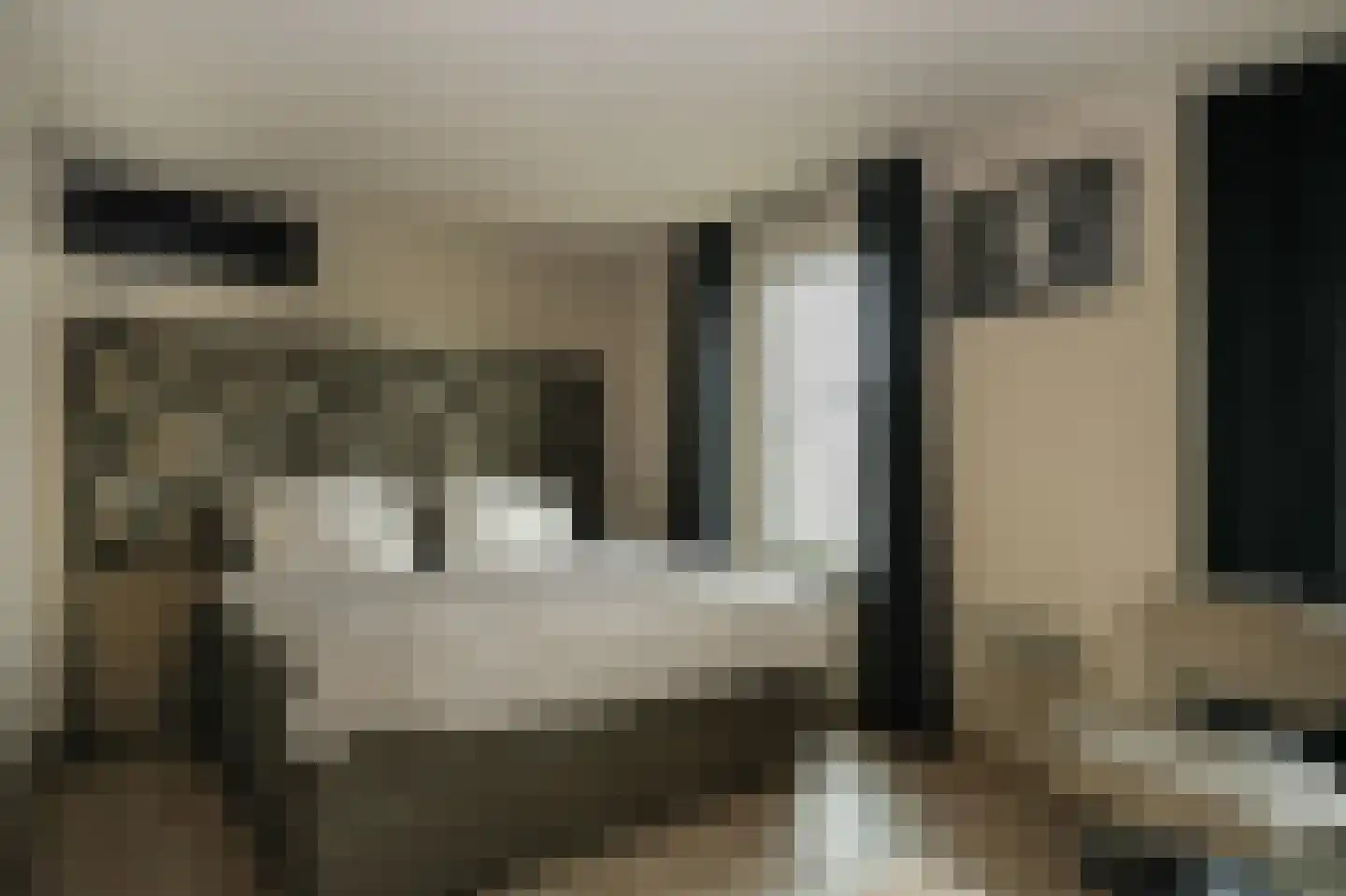 Ticheldreef 104 Druten thumbnail 28