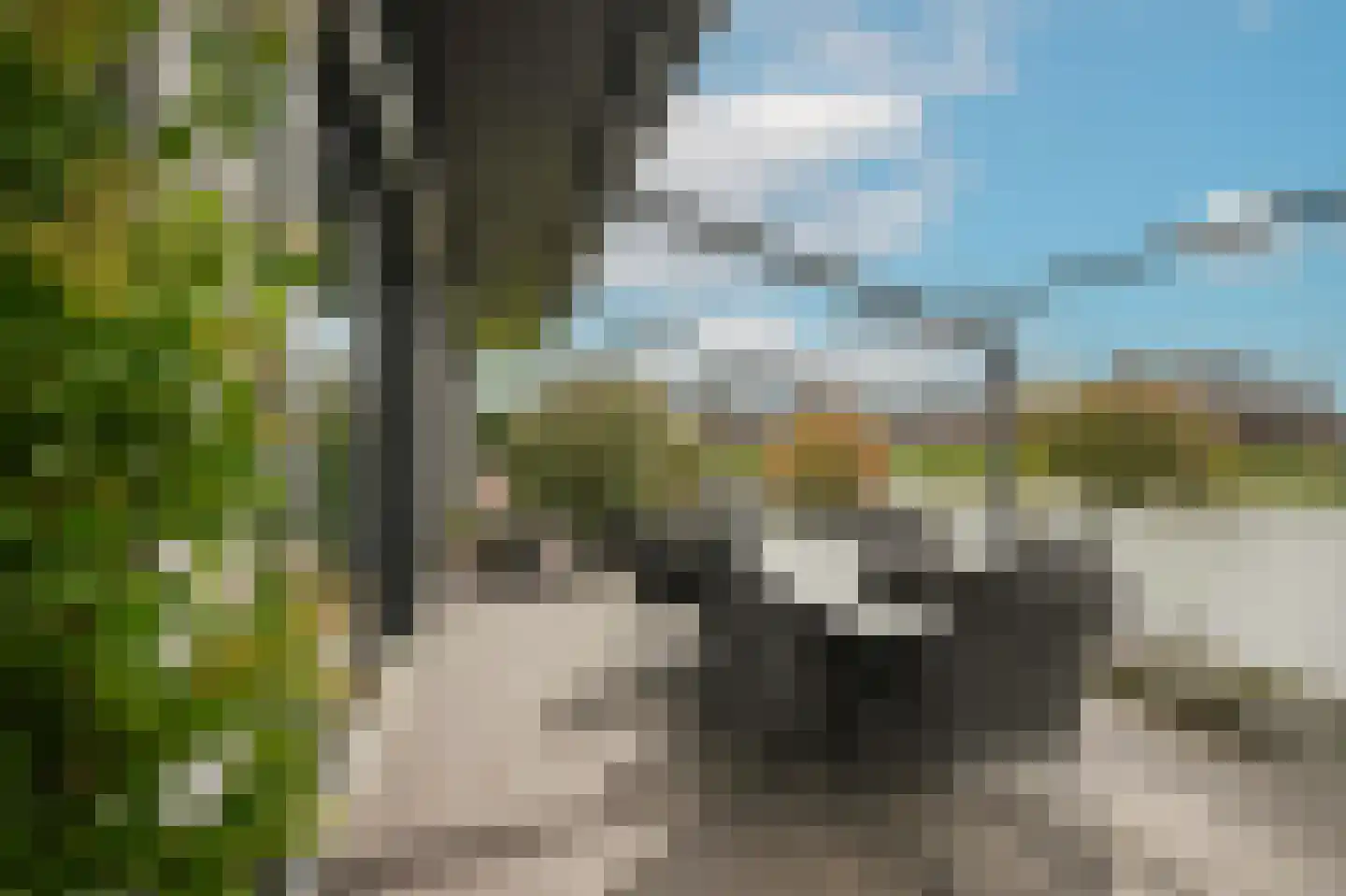 Ticheldreef 104 Druten thumbnail 44
