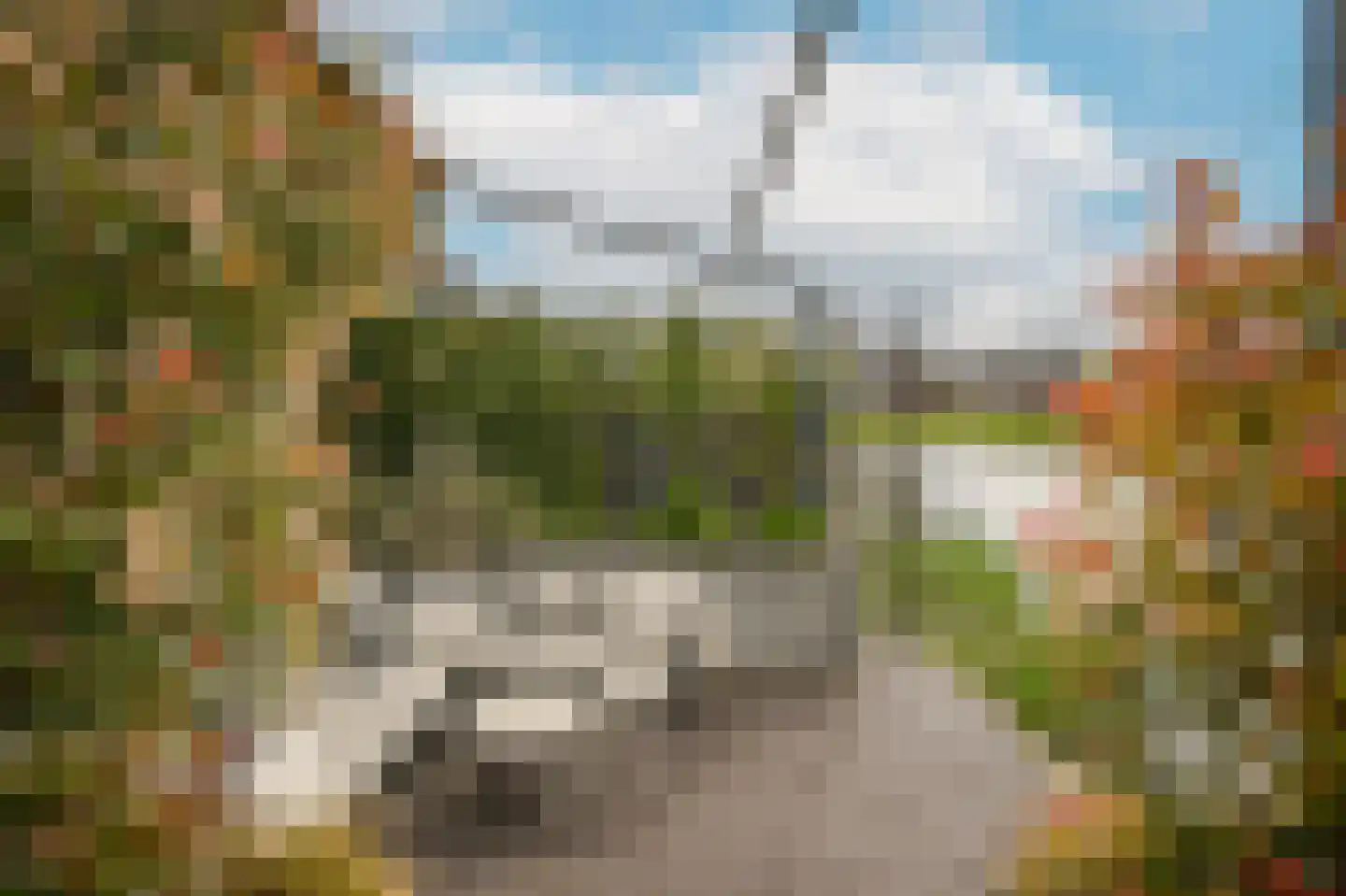 Ticheldreef 104 Druten thumbnail 51