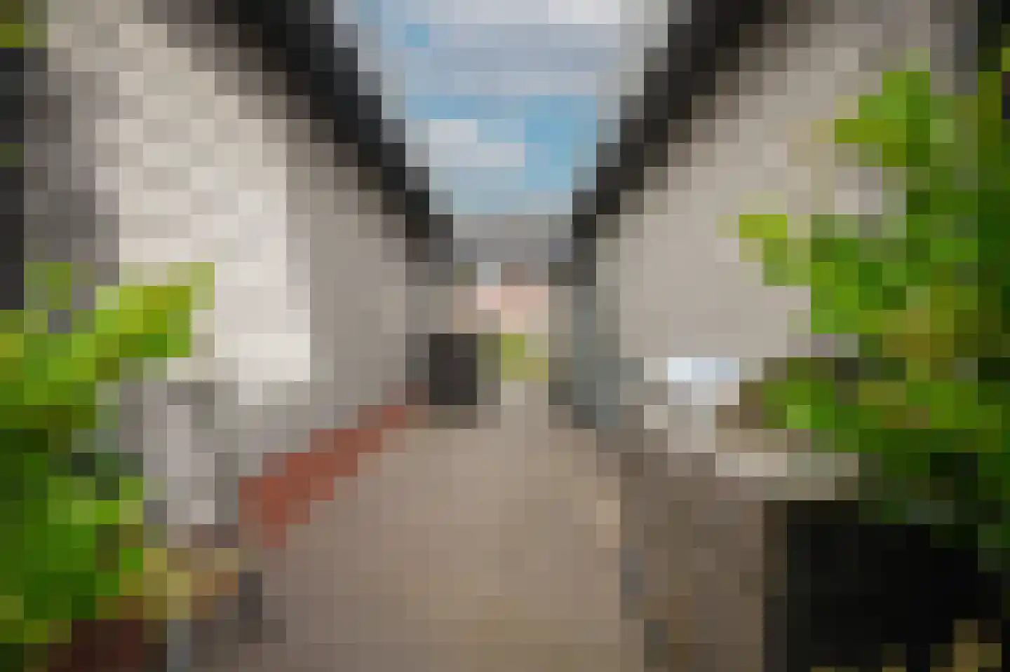 Ticheldreef 104 Druten thumbnail 53
