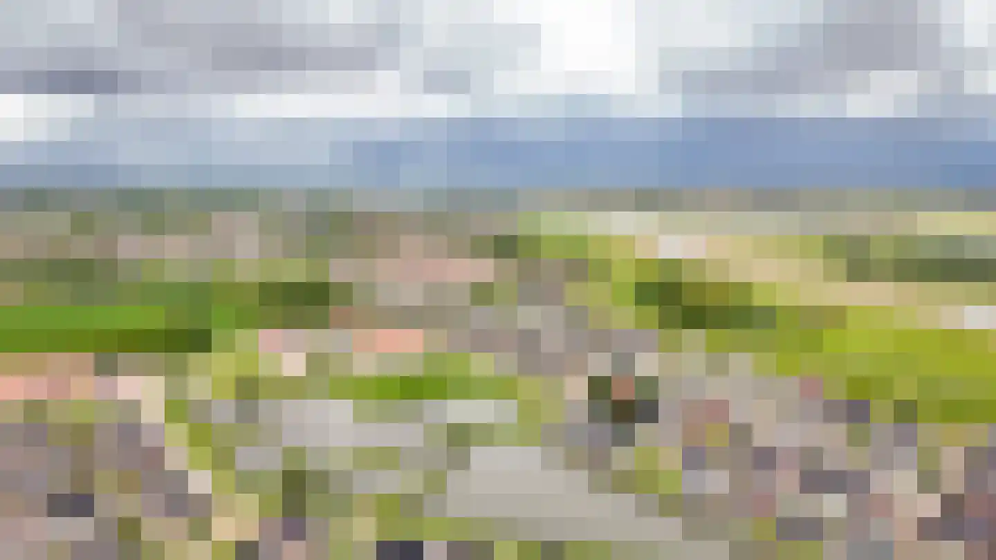 Ticheldreef 104 Druten thumbnail 62