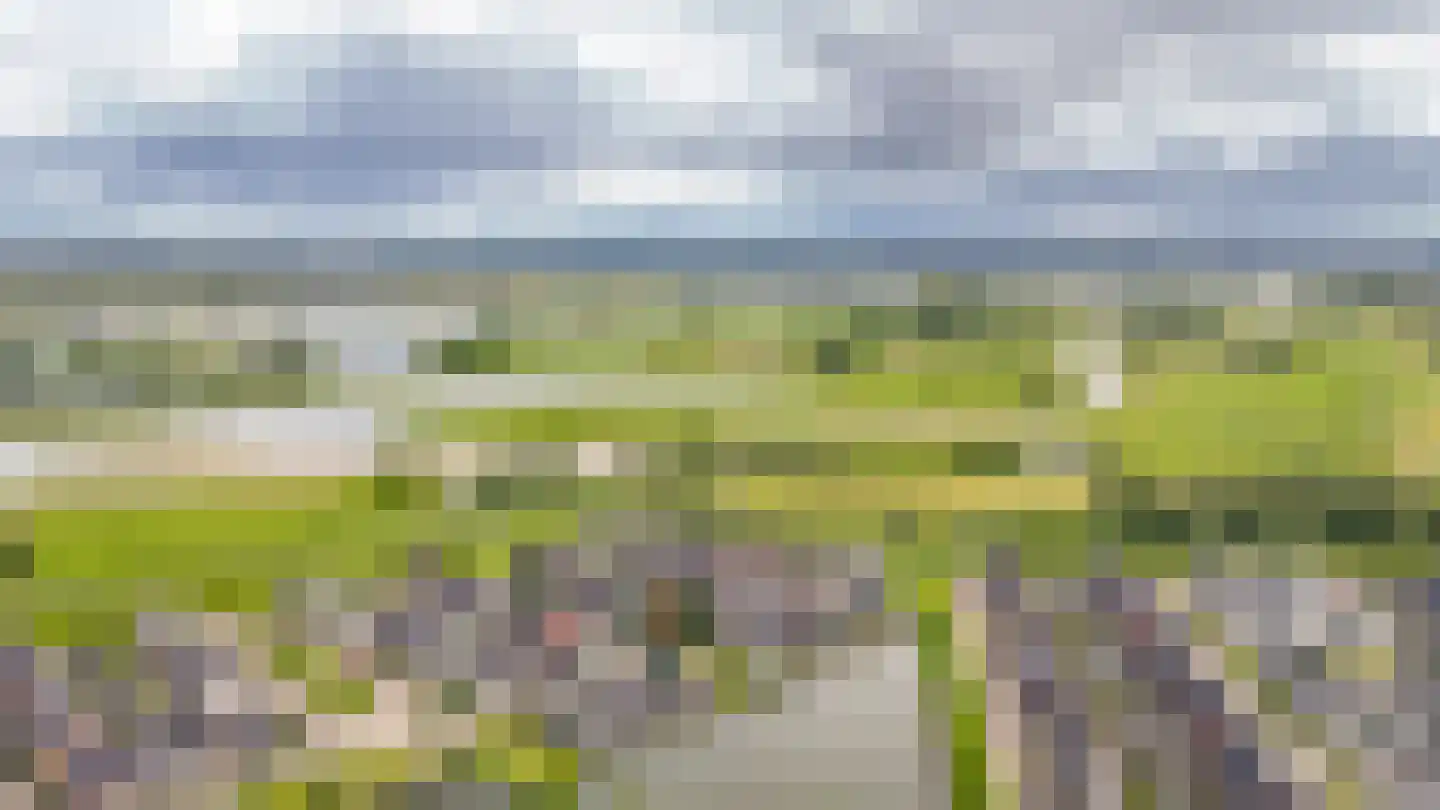 Ticheldreef 104 Druten thumbnail 63