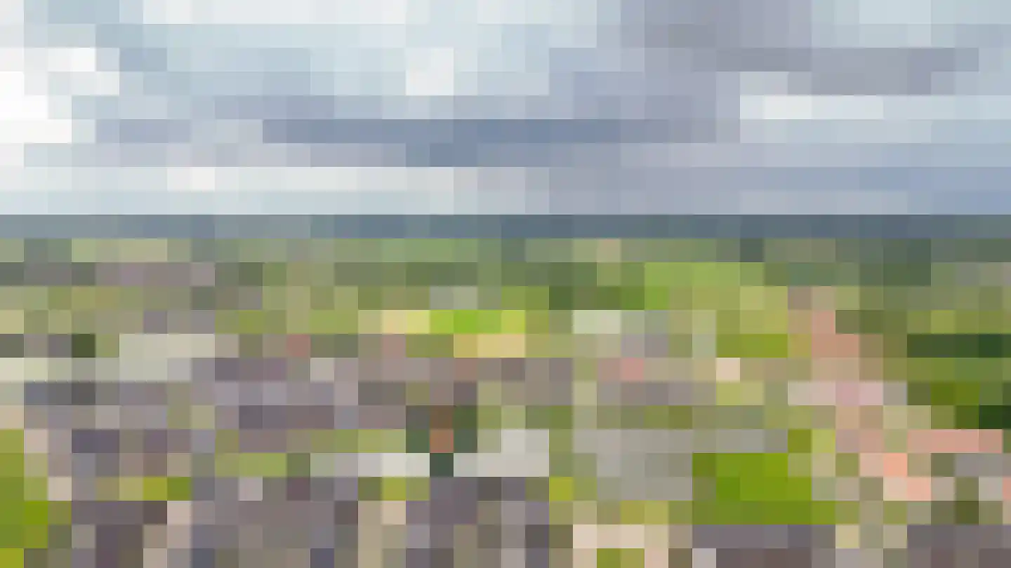 Ticheldreef 104 Druten thumbnail 64