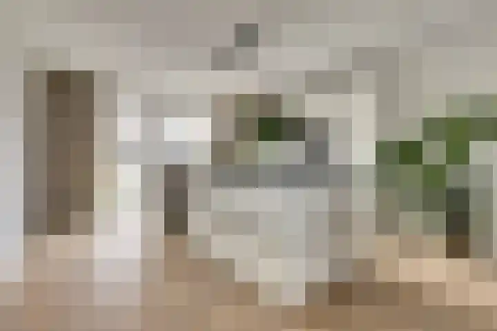 Ticheldreef 131 Druten thumbnail 11